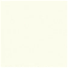 Savage Widetone Seamless Background Paper (#50 Warm White, 107" x 36')