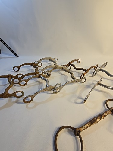 Lote De Colección De 9 Bordillo De Caballo Y Snaffle Mordedura Ricardo Fort Recovery Americano - Imagen 3 de 19