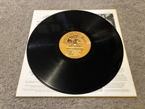 God Don't Never Change The Songs Of Blind Willie Johnson 2016 Blues Vinyl Record - Picture 6 of 8