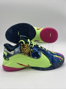 lebron james shoes ebay