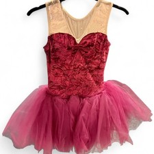 Purple/Pink Dance Tutu