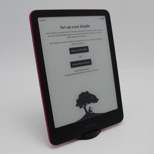 Kindle Paperwhite Plum | eBay