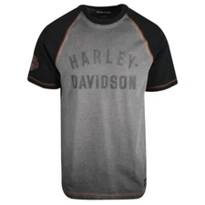 Harley-Davidson Men's T-Shirt Grey Colorblocked Performance Staple (S61)