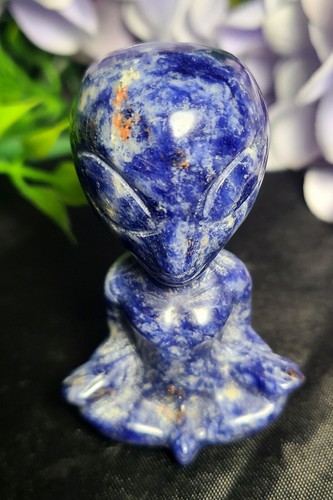 2.5" 60g Azul Sodalita Meditación Yoga Extraterrestre Cristal Piedra Talla Estatua OVNI - Imagen 2 de 10