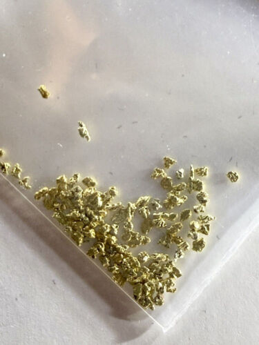 100 PIECE LOT ALASKAN YUKON BC NATURAL PURE GOLD NUGGETS (#G250) - Picture 4 of 7