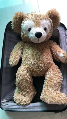 large size teddy