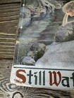 1913 “Still Waters” Samuel Francis Woolard Poetry Booklet Ed L. Davison Cover — photo 3