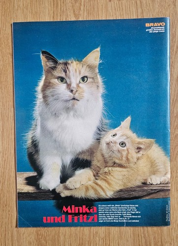 BRAVO Magazine 1975 = AUSWAHL aus Heft 1 bis 52 ~~~ 50. Geburtstag ~~~ ! - 第 137/198 張圖片