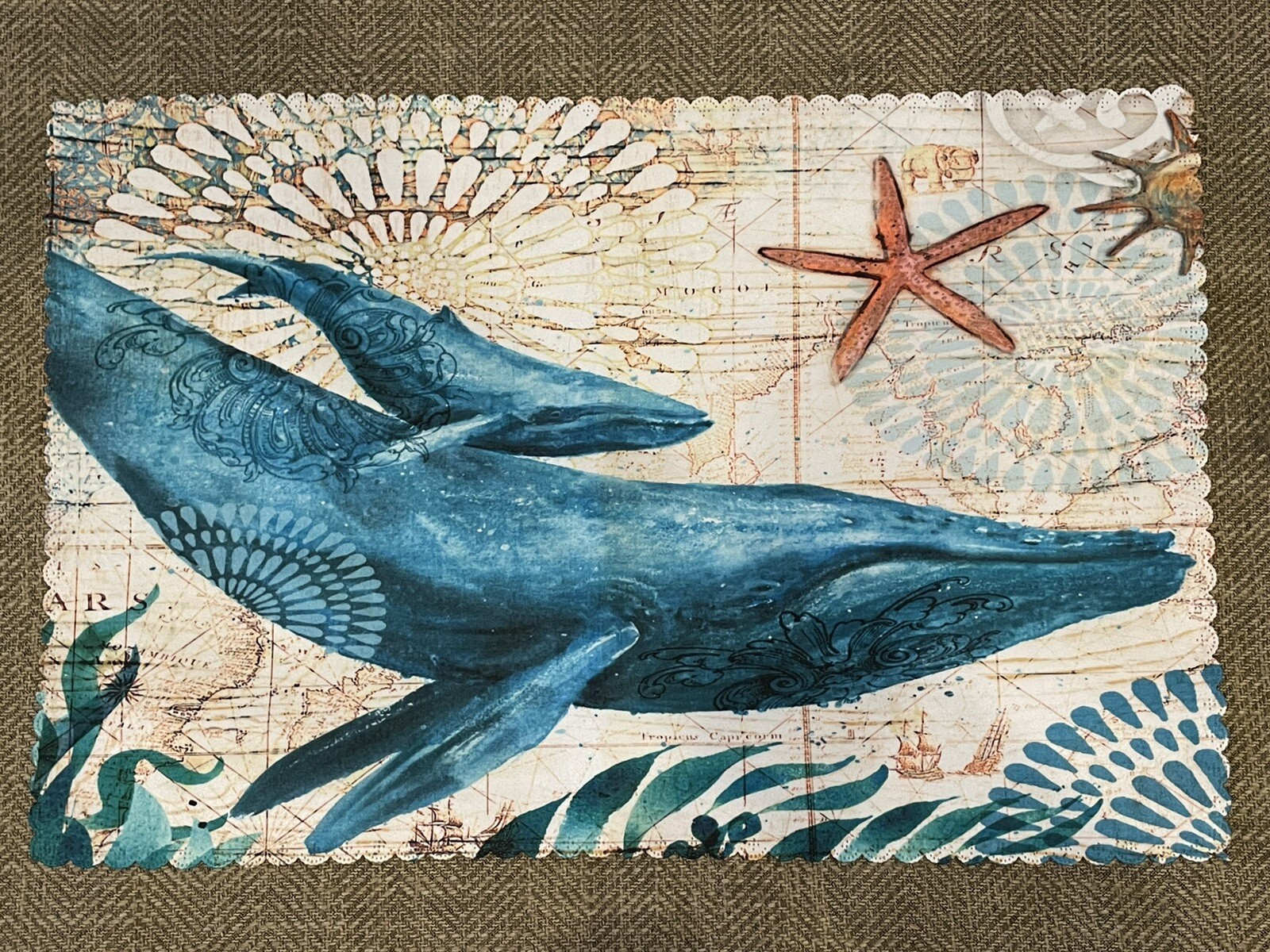 Picture 5 of 12