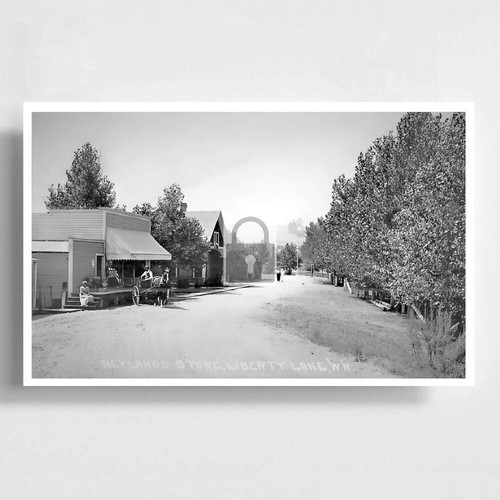 Street View Neylands Store Liberty Lake Washington WA - REPRINT