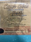Cover Girls Of The DC Universe: Black Canary Statue 1278/5000 — photo 7