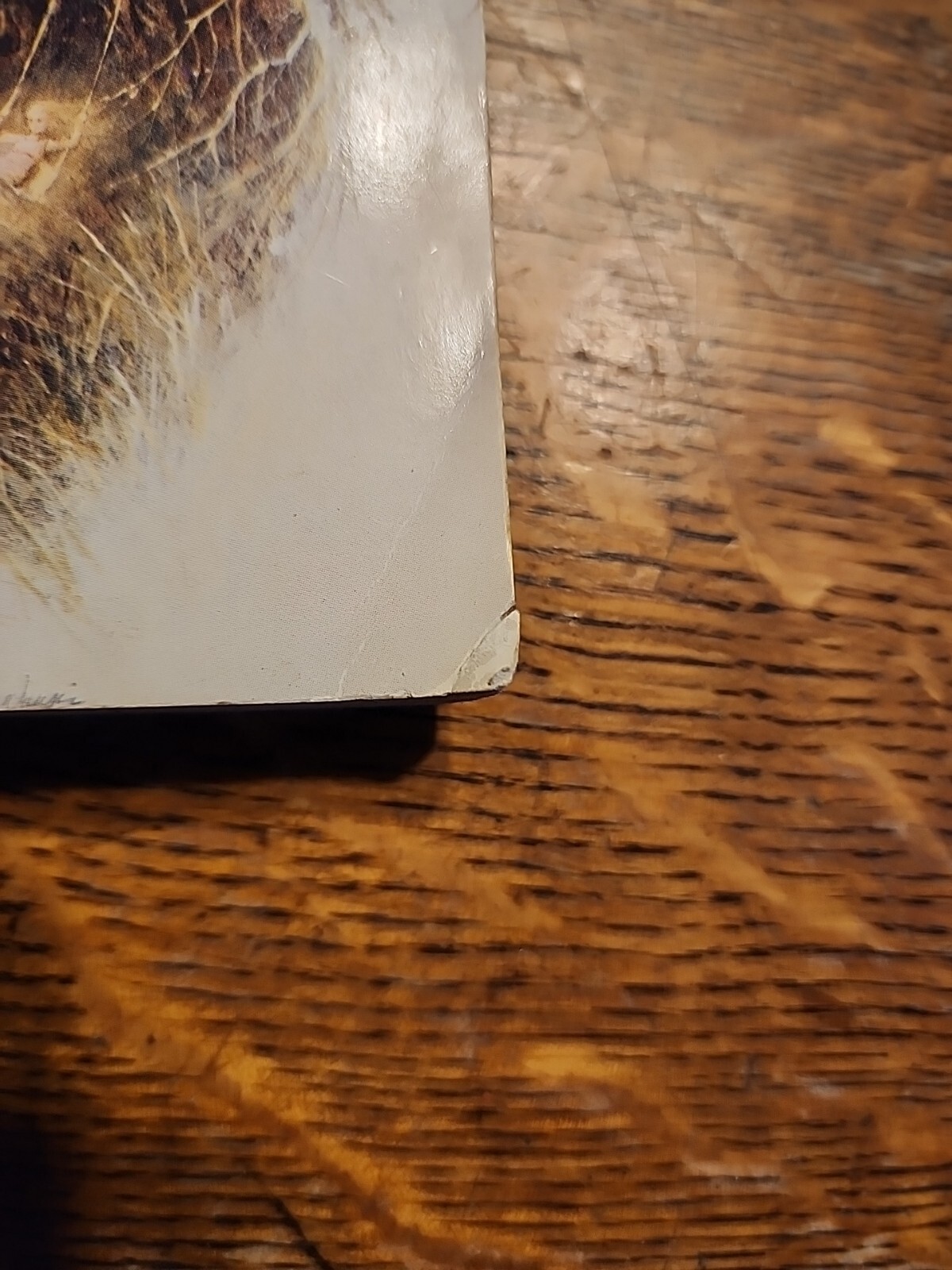 Picture 5 of 6