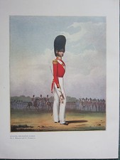 1909 Militaire Imprimé ~ Officer Grenadier Gardes