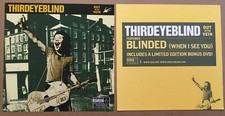 THIRD EYE BLIND Rare 2003 DOUBLE SIDED PROMO POSTER FLAT for Out CD 3rd MINT USA