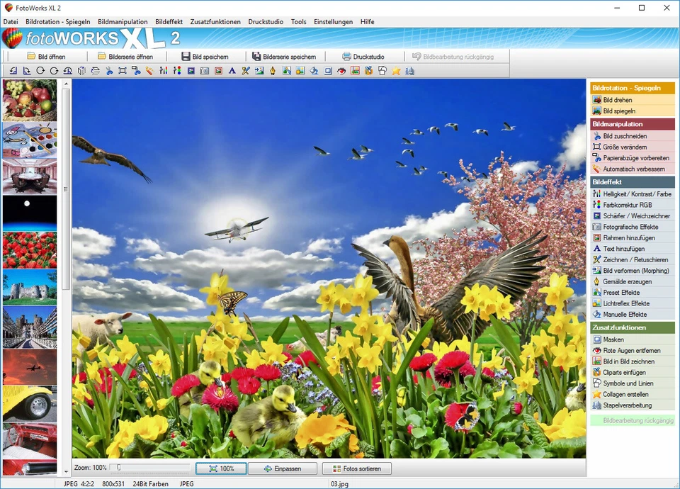 FOTOWORKS XL 2025 – Bildbearbeitungsprogramm in Deutsch - Windows - CD-ROM - Bild 2 von 4