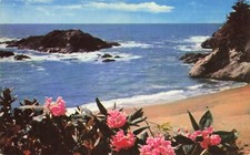 Scenic Ocean View Pacific Northwest Vintage Standard Chrome Postcard Posted 1964