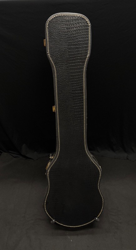 EMPTY GUITAR CASE ** CASE ONLY**