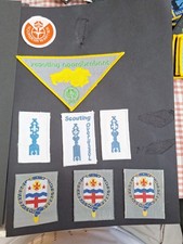 Scout Badges NETHERLANDS DISTRICTS  X 10