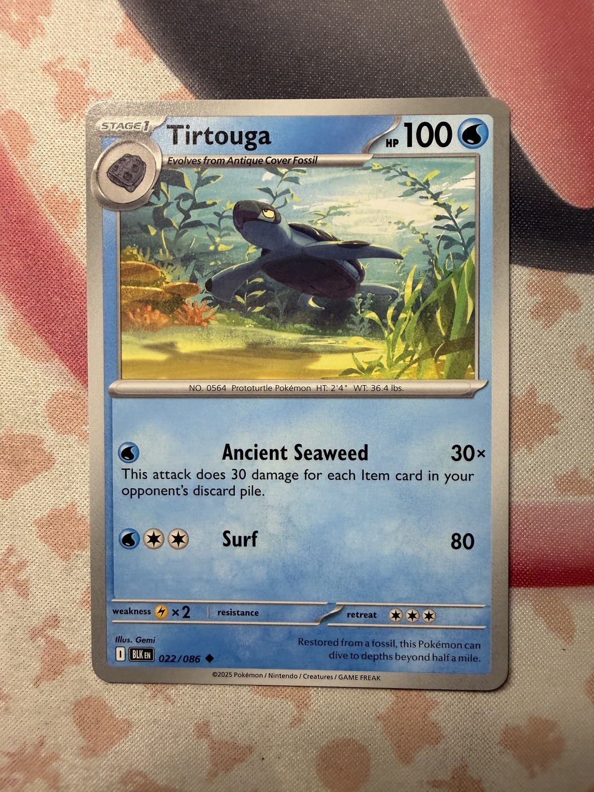 Tirtouga Uncommon SV: Black Bolt 022/086 NM English Pokemon Card