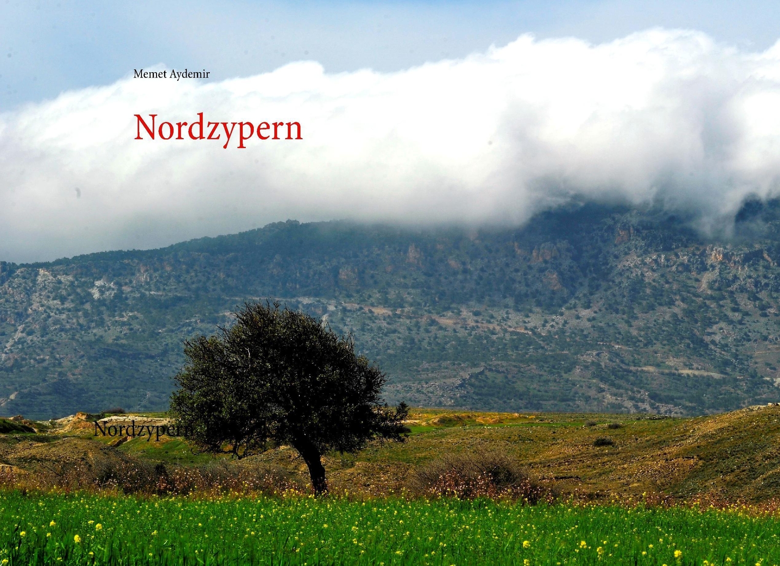 Thumbnail - Memet Aydemir | Nordzypern | Buch | Deutsch (2017) | Nordzypern, Kuzey