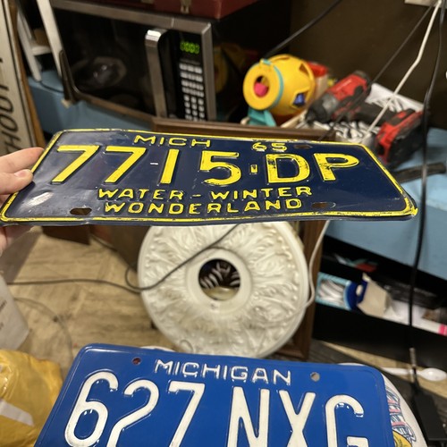 1965 Michigan License Plate 7715-DP Water-Winter Wonderland - Picture 8 of 22