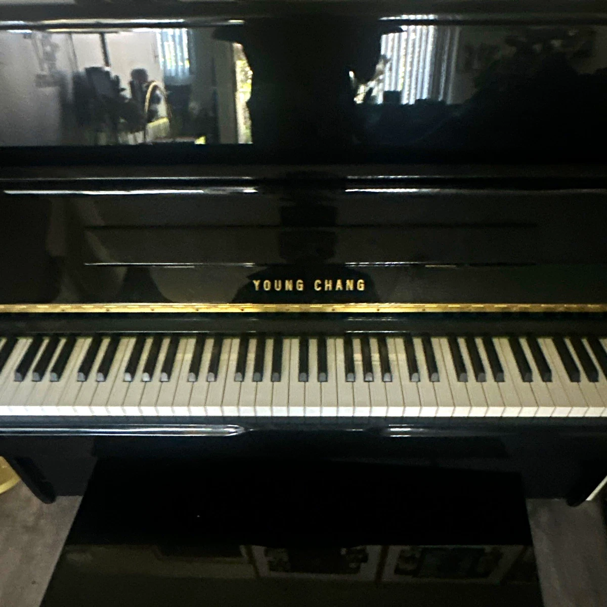 Las mejores ofertas en Pianos verticales Young Chang | eBay