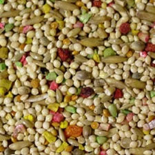 Higgins Vita Seed PARAKEET Food Pet *USA* Fruit Blend FRESH Bird Parrot