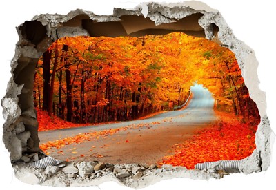   Herbstszene Orangenbäume Straße 3D zerschlagen Wandansicht Aufkleber Poster Kunst 1042