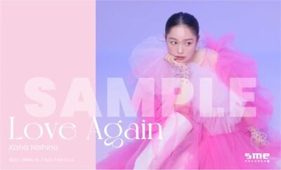 【美品/DVD】西野カナ/Kana Nishino Love Again Kana Nishino Love Again Live 2024【完全生産限定盤 DVD