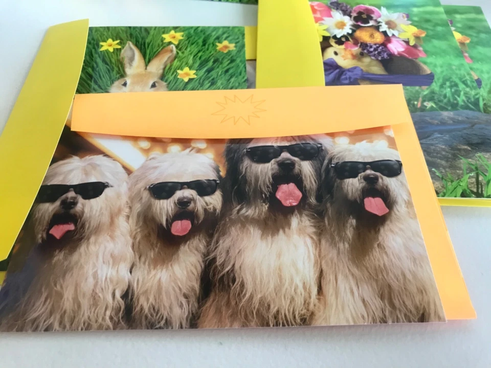 Lote de 8 Tarjetas Avanti Cumpleaños Pascua Día de la Madre Tarjetas Día del Padre Foto 2 de 4