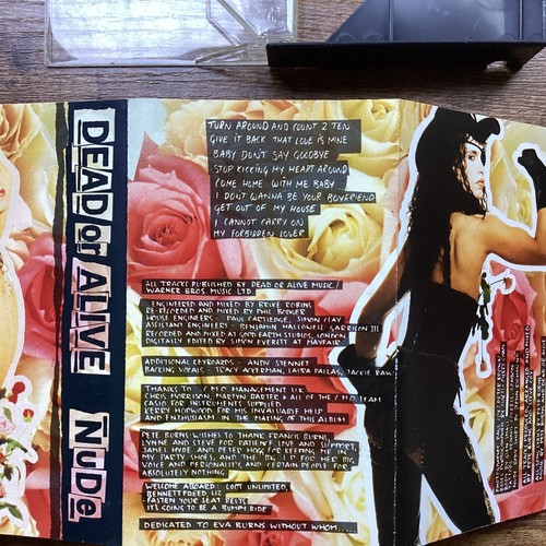 Dead Or Alive Nude -VTG Cassette Tape 80s British Dance Pop Music & Inner Sleeve - Picture 8 of 13