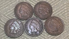 Indian Head Cent Lot of 5 - 1900, 1901, 1902, 1903, 1904 - Very Fine