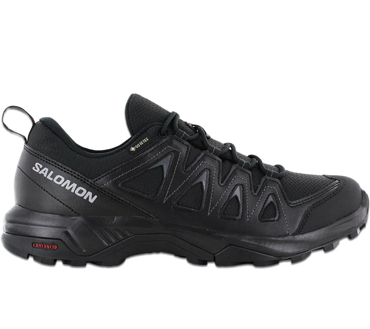 Salomon X Braze Gore-Tex