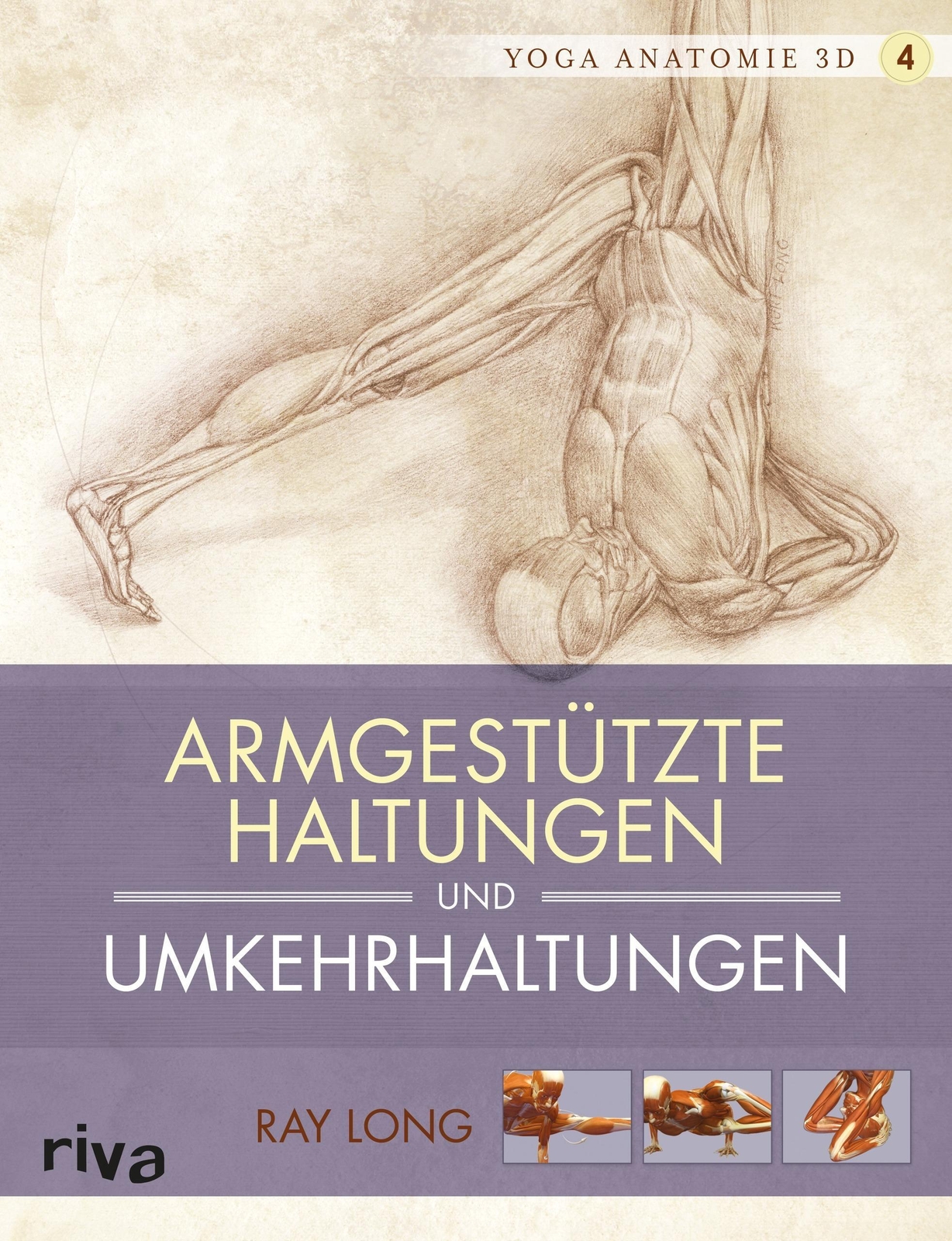 Thumbnail - Yoga-anatomie 3d. Armgestützte Haltungen Und Umkehrhaltungen | Ray