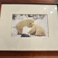Jim Stamates Collection Photo “Polar Hug” Matted Framed 8”x10” Signed Info Sheet