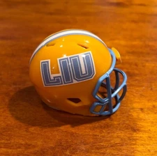 Long Island Sharks LIU custom pocket pro helmet FCS