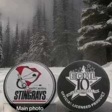 1988-98 SOUTH CAROLINA STINGRAYS ECHL 10TH ANN. PUCK LINDSAY MFG. MADE IN 🇨🇦