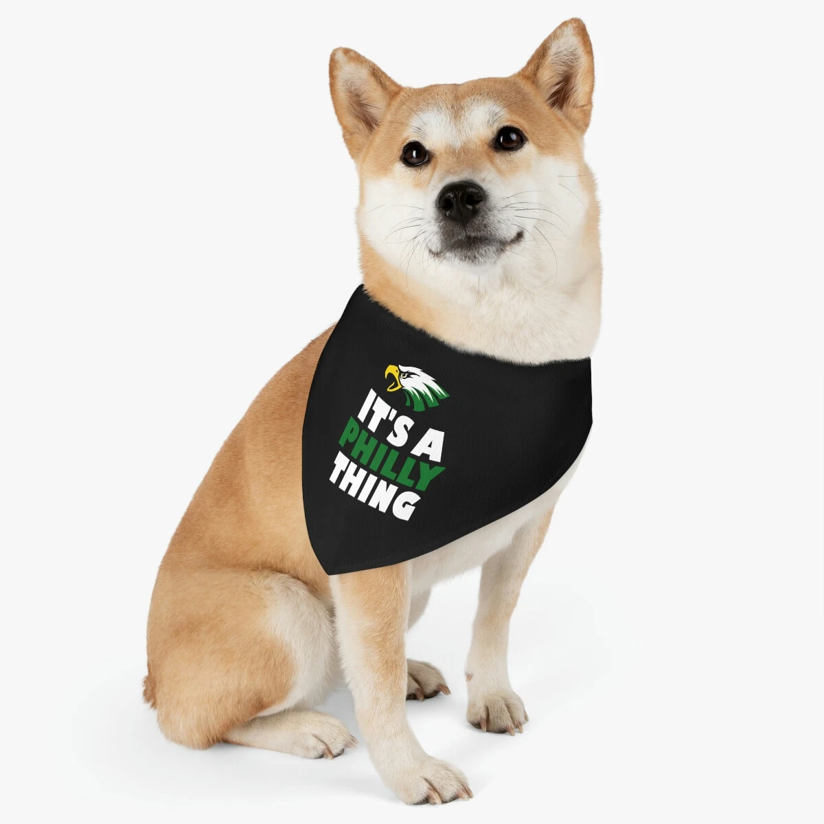 Eagles bandana top for dogs