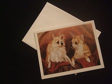 LOT de 6 CARTES + ENVELOPPES - chien  CHIHUAHUA POIL COURT + CHIHUAHUA POIL LONG