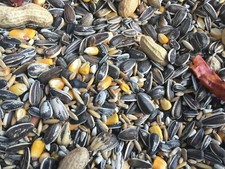 Higgins Supreme parrot diet food seed sunflower peanuts african conure 40lb