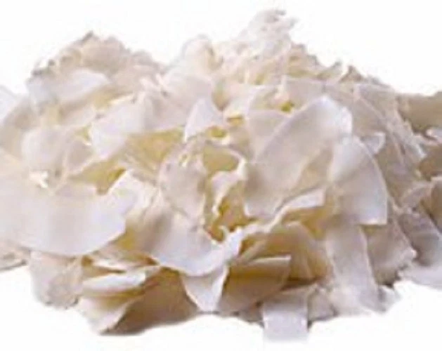 ¿Por qué el peso? Chocolate de Coco en Bandeja con Tapa 9 Barritas Hecho a Pedido EE. UU. Foto 4 de 4