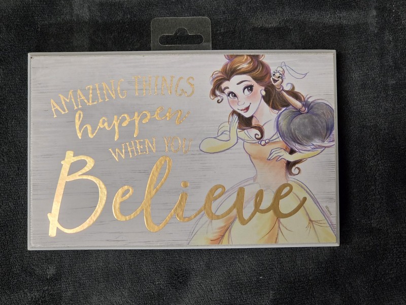 Disney Belle Amazing Things Happen When You Believe 8x5 Wood  Wall Decour 