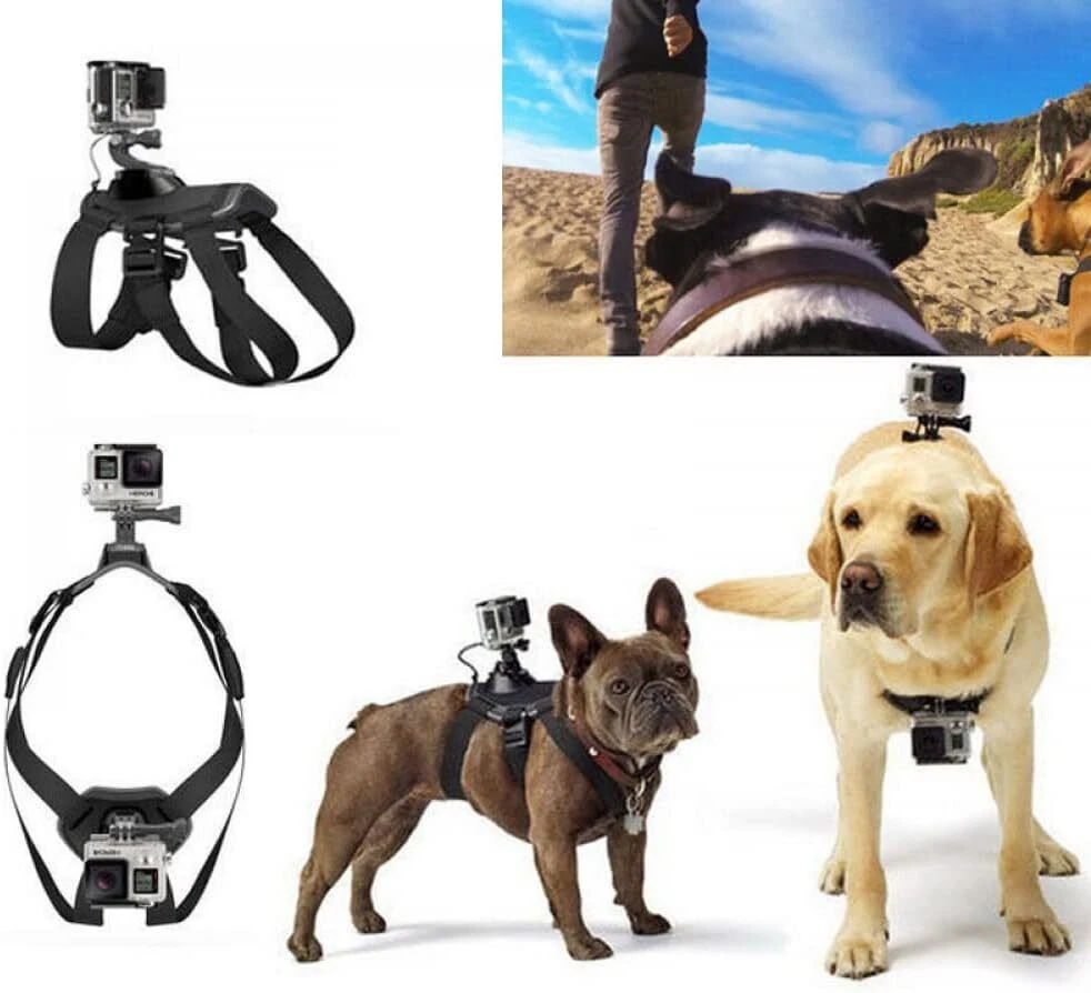 GoPro Dog Harness for Large Medium Dogs Soft Adjustable Camera Mount