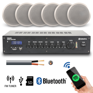 ceiling music system