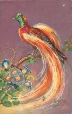 AK Künstlerkarte Vogel (ähnlich Goldfasan) auf Ast, Blumen (Nr. 1618)