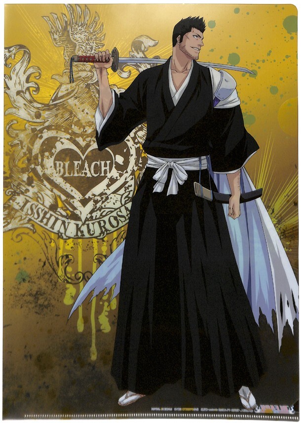 BLEACH カード　ファイル Bleach Clear File Folder A4 Ichiban Kuji F Prize Isshin Kurosaki