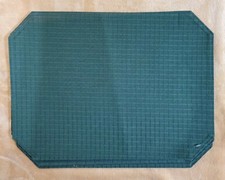 Set of 5 Pier One Imports Placemats Green