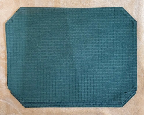Set of 5) Pier One Imports Placemats Green