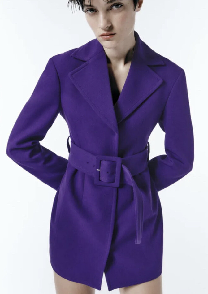 【タグ付未使用】XLサイズ ZARA スーツ 紫パープル 新品 LL ボルドー タグ付未使用】XLサイズ ZARA スーツ 紫パープル 新品 LL ボルドー