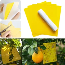 20Pcs Sticky Fly Trap Paper Yellow Traps Fruit Flies Insect Glue Catcher